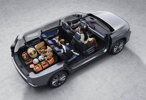 首付9900元開(kāi)睿藍(lán)9即刻出發(fā)